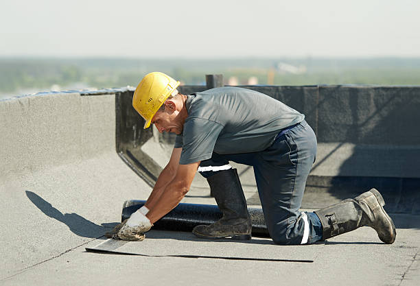 Best Insulation Maintenance and Repair in Gloucester Point, VA